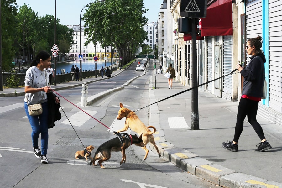 paris femmes et chiens canal saint martin, filles promenent les chiens pendant le confinement
